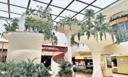 皇崗口岸旁商場上新！冷氣森林美食街隨便逛