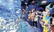 百島風情·濱海悅旅海島度假線