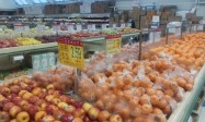 合資格家庭雜貨補貼6月發放   最高可拿533