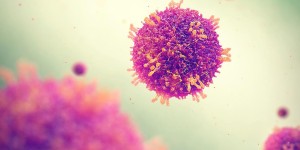 日本麻疹病例增加　政府部門提醒軌跡重合者注意