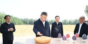 習近平：引導廣大農民群眾用勤勞和智慧創造更加美好生活