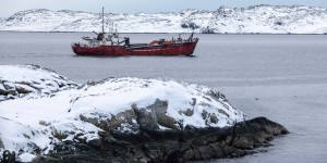 欧盟官员：欧洲害怕与美国发生军事冲突，希望达成有关格陵兰岛的协议