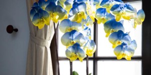 服了！赖清德被“骂”了还上赶着，提议与乌克兰对话