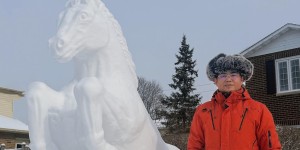 馬到成功：蒙城藝術家張樹峰雪雕作品完成