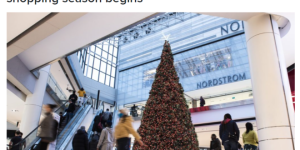 加拿大零售业盗窃暴增300%, 年损91亿! 圣诞沦为犯罪狂欢节