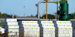 卡尼明确拒绝软木材行业提出的“救命钱”请求，担心会激怒美国