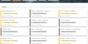 50cm暴雪! 安省狂发38条天气警报! 大多伦多70km狂风+体感-19°C