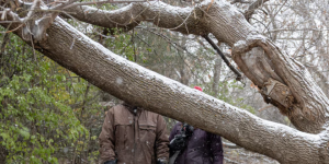 一位44岁联邦政府公务员打算明年退休：财务专家怎么说？