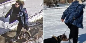 多伦多女子纵犬咬伤9岁男童逃之夭夭，监禁12个月+10年不许养狗