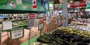 为首次因盗窃食品被捕者提供公益法律服务：GTA法律助理引关注