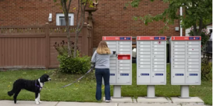 报税服务升级！加拿大税务局推数码化转型