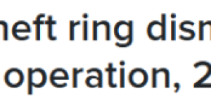 加拿大大型盗窃团伙被捣毁: 21人被控! 有7旬老人, 也有未成年!