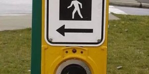 来了加拿大你就变了！好多小伙伴都躺枪…