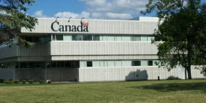 加拿大宣布严查这类退税! CRA被骗数亿! 两大行业是重灾区!