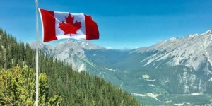 加拿大一年遣返1.8万人，成本惊人！