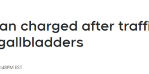 加拿大亚裔女子走私熊掌和熊胆: 判罚$1.2万+没收非法收入!