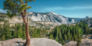 下周开始加拿大人游览美国国家公园将需支付3倍的费用