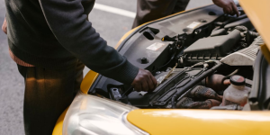 加国寒冬奇遇：小动物钻进汽车引擎盖取暖 吓坏女车主