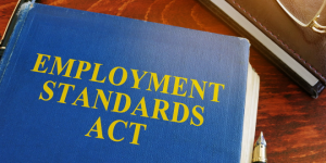 安省就业新规1月1日生效: 必须标明薪酬, 禁止要求”加拿大经验”!