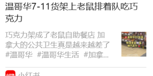 鼠患！7-11巧克力遭老鼠狂啃、老鼠在售楼处当“销售”