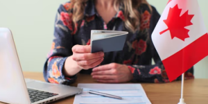 加拿大也有斩杀线？网友吵翻：没工作就垮？