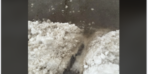 多伦多全城满地冰雪: 大批居民拿着铲子, 走上街道, 只为找它!