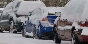 冬季路边停车规定不能小觑：密西沙加连开1000张罚单