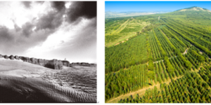 【中國如斯】右玉传奇：二十一位执政者的坚守