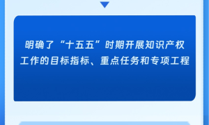 国务院印发《知识产权保护和运用“十五五”规划》