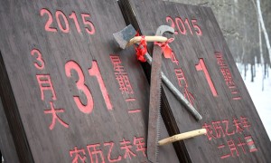 大草原、大森林、大湖泊——呼伦贝尔的“绿色家底”