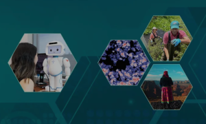 美国家科学基金会将新建3个科学与技术中心，覆盖AI、生物技术、聚变能源和机器人等领域