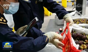 中国超大市场红利惠及全球