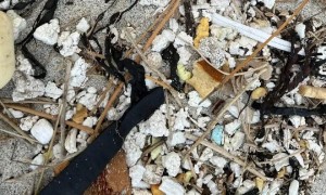 60年代加拿大30萬片碎屑垃圾突然湧上英國海灘