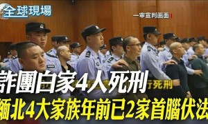 日月譚天丨緬北涉詐犯罪集團主犯相繼伏法震撼島內