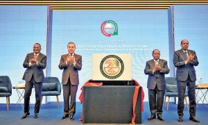 王毅：中國願以自身發展助非 攜手實現現代化