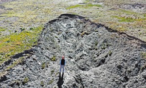 凍土植被百年才能重生　港大研究破解全球暖化密碼