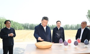 習近平：引導廣大農民群眾用勤勞和智慧創造更加美好生活