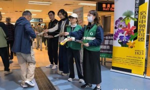 新年北上買年貨注意！海關提醒勿攜帶蘭花返港