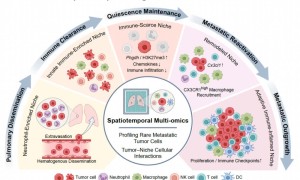 登頂《科學》！中國技術造福肝癌患者