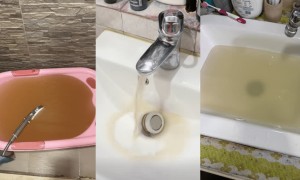 粉嶺華明邨等多個屋苑食水混濁　水務署：水管工程揚起沉積物