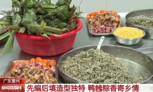 廣東雷州鴨乸糭：先編後填的端午非遺技藝