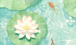 7月15日入伏　今年三伏天時長40天
