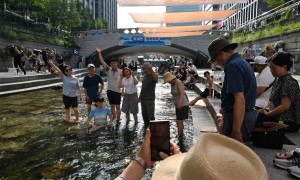 韓連日高溫首爾急推抗暑策略