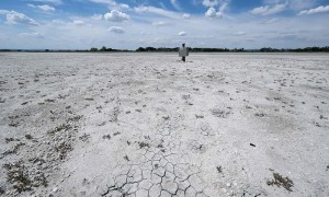 奧地利氣溫創新高　多地現火情