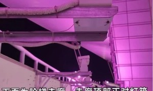 蔡依林演唱會有人摔傷縫針