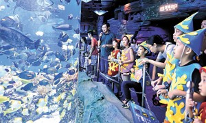 百島風情·濱海悅旅海島度假線