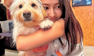 明星鏟屎官的真實日常：崩潰、治癒與堅守