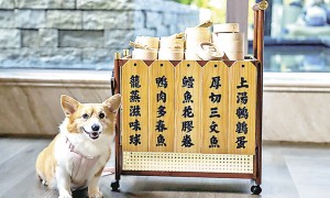 港味點心派對　食玩打卡咪錯過