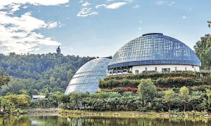 惠州植物園 都市森境 特色草木交融