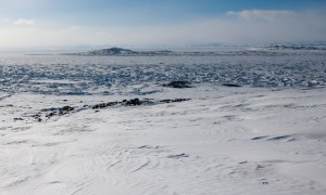 加拿大警钟敲响！“美国别搅局”